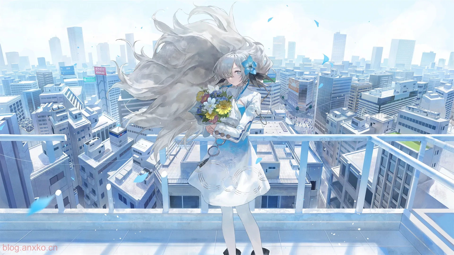 Cover Image of the Post